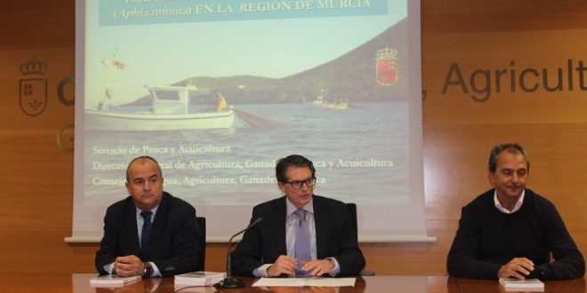 Industria regional murciana realizó 7500 contratos indefinidos en 2017