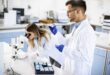 Worg Pharma Llega a España: Adquiere Diater a Nazca Capital por 150 Millones de Euros